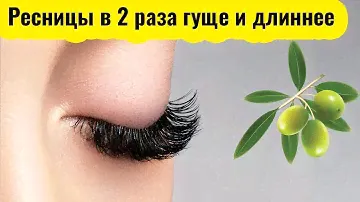 Оливковое масло для длинных и густых ресниц: Маски. Рецепты. Результаты