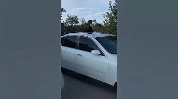 Проколы медуза и лабрет. Пирсинг.